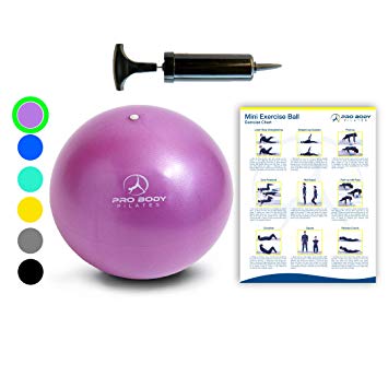 Mini Exercise Ball with Pump - 9 Inch Bender Ball for Stability, Barre, Pilates, Yoga, Core Training and Physical Therapy