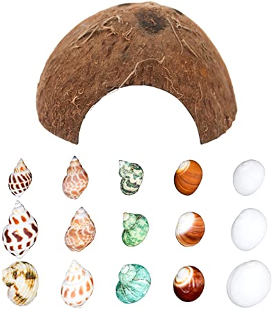 Hermit Crab Shells/Turbo Shells/15Pcs Assorted Turbo Shells and 1Pcs Natural Coconut Hide Reptile Hideout/Seashell Opening Size 0.78"-1.57"-Handpicked Turbo Growth Seashell Natural Sea Conch