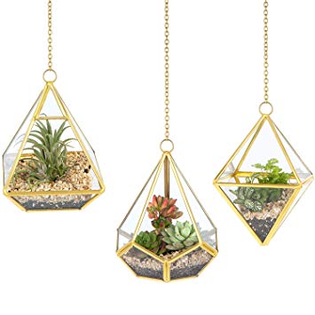 Mkono 3 Pcs Hanging Glass Terrarium Geometric Container Vertical Modern Planter Windowsill Decor DIY Display Box Centerpiece Gift for Succulent Fern Moss Cacti Air Plants Miniature Fairy Garden, Gold