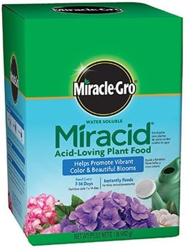 Company Miracle-Gro 1750011 Water Soluble Miracid Acid-Loving Plant Food, 1-Pound (3)
