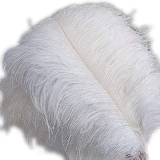 Shekyeon White 16-18inch 40-45cm Ostrich Feather DIY Craft Feather Pack of 10