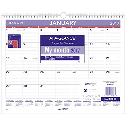 AT-A-GLANCE Wall Calendar 2017, Monthly, 14-7/8 x 11-7/8", Wirebound (PM8-28)