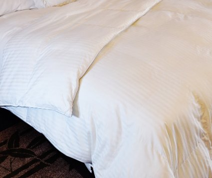 Natural Comfort Soft and Luxurious 310TC Sateen White Down Alternative Duvet Insert, Full