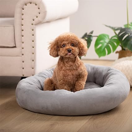 KASENTEX Dog Bed, Round Dog Beds for Small Dogs and Puppy, Donut Dog Bed and Cat Bed Anti Slip & Machine Washable - Grey 20x20 Inches