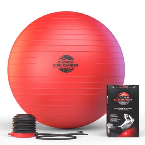 The Best Fitness Exercise Ball 65cm with Pump - Best for Abs - Stability - Tone - Core - Yoga - Pilates - Made with Anti-Burst Material - BONUS workout Ebook Included Featuring 20 Core Crushing Exercises and Workouts