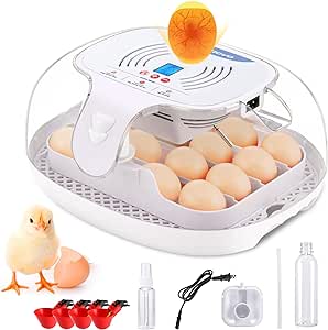 Sailnovo Egg Incubator for Hatching Chicks, 16-35 Eggs Incubator with Automatic Water Top-up, Auto Turning, Egg Candler, ℉ Display, 360° View Poultry Incubator for Hatching Chicken Duck Quail Eggs