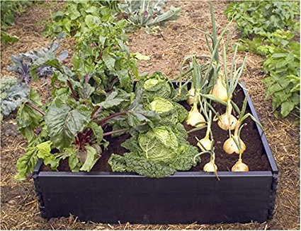 GARLAND RAISED GROW BED - GREAT FOR BIGGER, EARLIER & HEALTHIER CROPS!