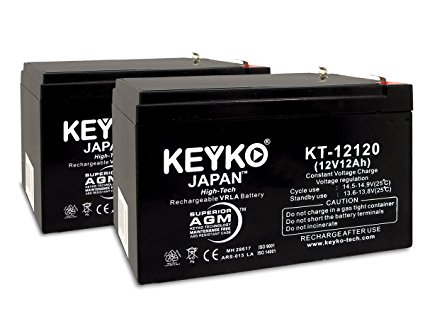 KEYKO Genuine KT-12120 12V 12Ah Battery SLA Sealed Lead Acid / AGM Replacement - F2 Terminal - 2 Pack