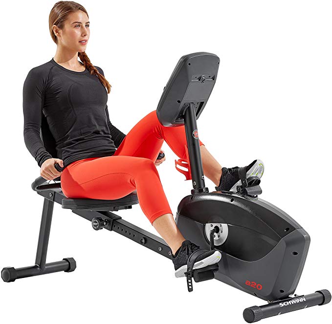 Schwinn Recumbent Bike