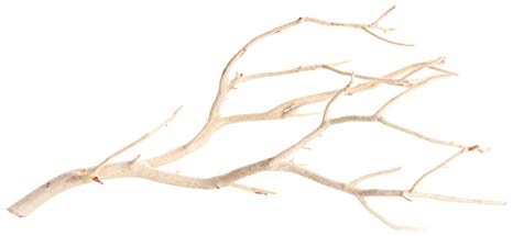 Koyal Wholesale Real Manzanita Branches, 12-Inch, Sandblasted