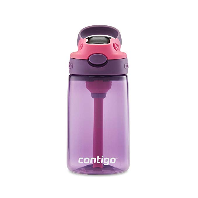 Contigo 2063363 AUTOSPOUT Straw Water Bottle, 14 oz, Eggplant & Punch