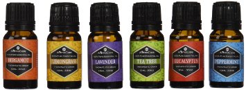 Aromatherapy Essential Oils Gift Set in a EXCLUSIVE WHITE BOX (Lavender, Peppermint, Lemongrass, TeaTree, Eucalyptus, Bergamot) FREE ebook