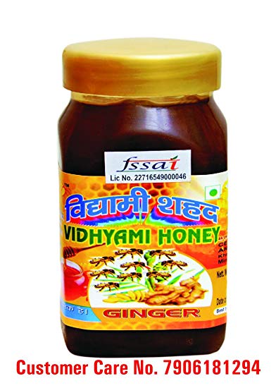 Vidyami Natural Ginger Honey 500 Grams