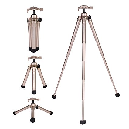 COMAN MT60 Aluminum Mini Tripod 5-Section 24.4" Full and Locking Ball Head With Quick Release Plate Portable Table Top Tripod Loading Capacity 5.5 LB for DSLR Camera (Gold)