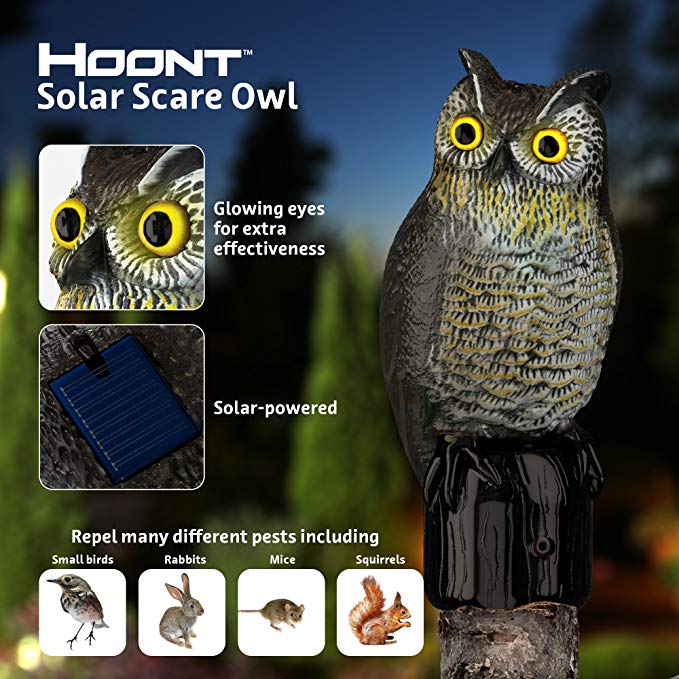 Hoont Realistic Owl Scarecrow with Flashing Eyes and Frightening Sound Solar Powered and Motion Activated, Frightens Birds and Pests Out of Your Property