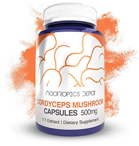 Cordyceps Mushroom Capsules | 500mg | 180 Count | Cordyceps militaris | Organic Whole Fruiting Body Mushroom Supplement | Supports Healthy Immune System