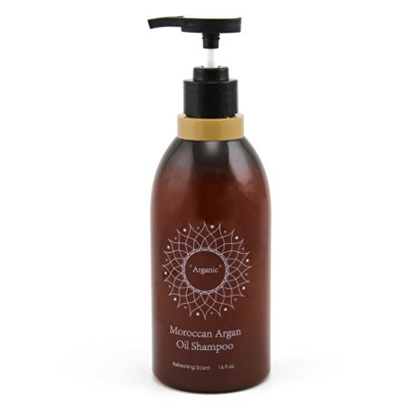 Argan Oil Shampoo revitalizes, hydrates, and restores all hair types for Men and Women with a Premium rejuvenating Moroccan formula Paraben Free & Sulfate Free 16 fl oz