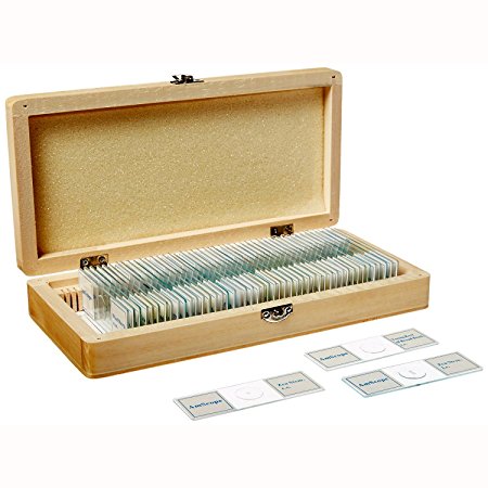 AmScope PS50 Prepared Microscope Slide Set for Basic Biological Science Education, 50 Slides, Includes Fitted Wooden Case