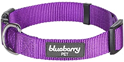 Blueberry Pet Classic Solid Color Nylon Dog Collar in Dark Orchid, Small, Neck 30cm-40cm, Adjustable Collars for Dogs