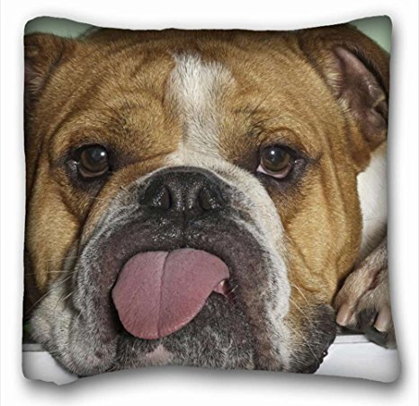 Decorative Square Throw Pillow Case Animals English bulldog is language tired 18"*18" Two Side