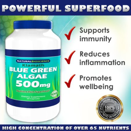 Klamath Blue - Green Algae - 500mg - Nutrient Rich Superfood - Contains High Concentrations of Vitamins Trace Minerals Enzymes Amino Acids and EFAs - 60 capsules 1