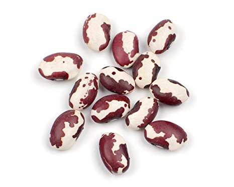 Anasazi® Beans, 10 Lb Bag