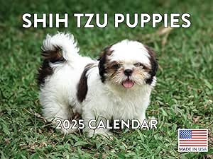 Shih Tzu Puppy Calendar 2025 Shitzu Monthly Wall Calender 12 Month | American Made In The USA