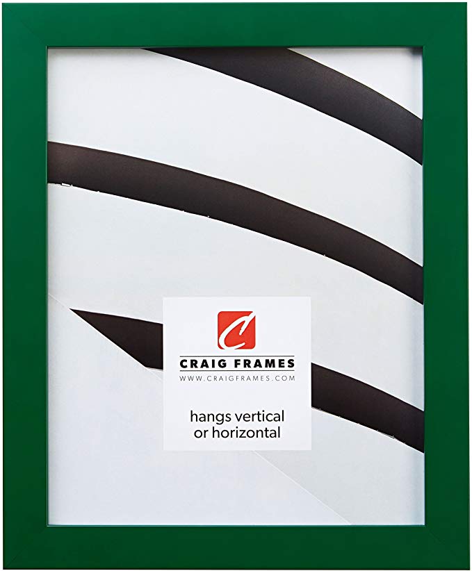 Craig Frames Confetti, Modern Green Picture Frame, 8.5 x 11 Inch