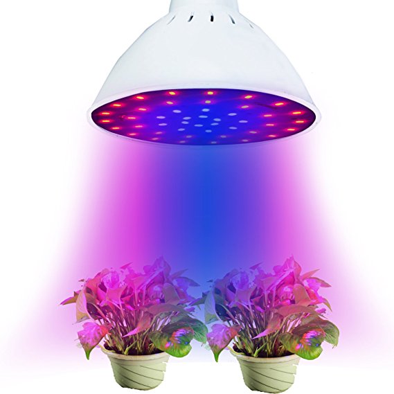WYZM 20W E26 PAR56 Full Spectrum LED Grow Light Bulb For Herbs Medical Plants Seeding and Growing