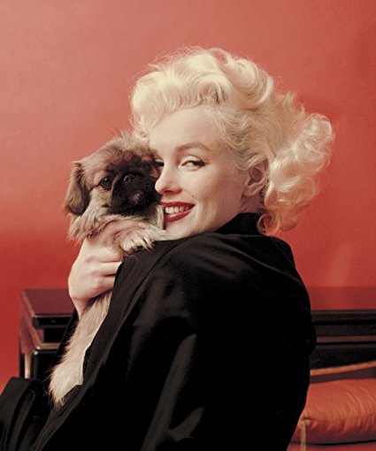 Royal Plush Extra Heavy Queen Size Mink Blanket - Marilyn Monroe Cuddling Puppy (79" x 85")