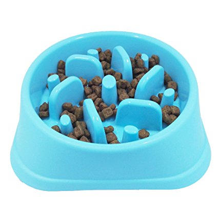 JasGood Eco-friendly Durable Non-Toxic Preventing Choking Dog Feeder Slow Eating Pet Bowl Healthy Design Bowl For Cat Dog Pet