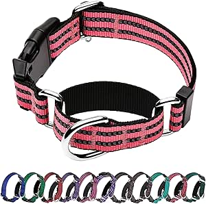 Martingale Dog Collars Reflective Nylon Dog Collar with Quick Release Buckle Adjustable Training No Slip Dog Collar (Medium, Cherry Pink)