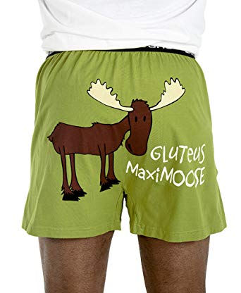 Soft Comical Boxers for Men by LazyOne | Animal Pun Joke Underwear for Guys