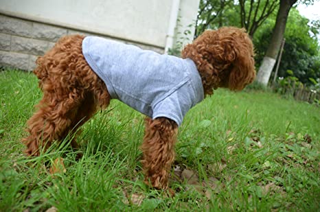Lovelonglong 2019 Pet Clothing Costumes Puppy Dog Clothes Blank T-Shirt Tee Shirts for Large Medium Small Dogs 100% Cotton 18 Colors