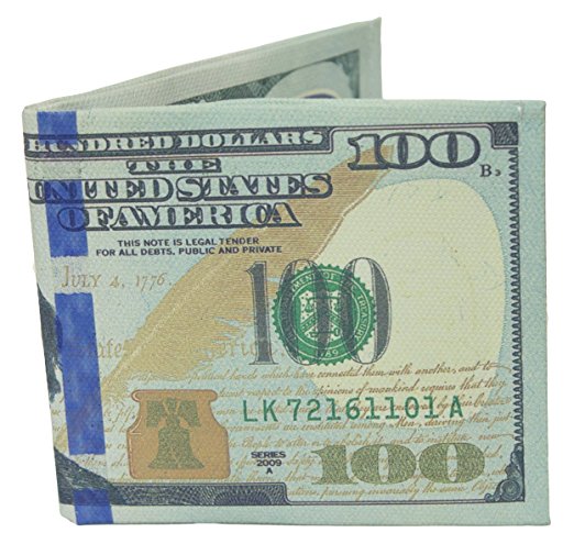 W.I.I Big Bucks Novelty One Hundred Dollar Bill Printed Bi-Fold Wallet, Large