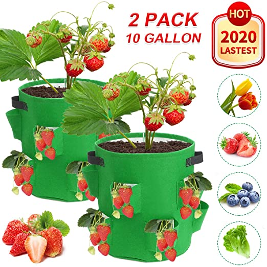 CAVEEN Strawberry Plant Bag, 10 Gallon Garden Planters Bags, Planting Pouch Fabric Grow Pots Grow Vegetables, Breathable Strawberry Pot Planting Grow Bags with Handles and Pockets, 2 Pack, Green
