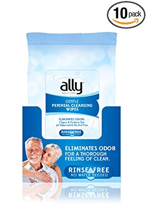 Ally Personal Cleansing Wipes, Rinse Free with Aloe and Vitamin E, 600 Wipes (10 Packs of 60 Wipes)
