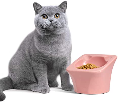 ComSaf Raised Cat Food Bowl, Elevated Slanted Kitten Bowl, Cat Dish Bowl, Ceramic Cat Pet Feeding Bowl