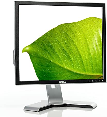 Dell Ultrasharp 1907FP 19" LCD Flat Panel Monitor