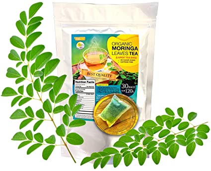 Organic Moringa Leaves Tea Pack of 30 Bags Large Tea Bags