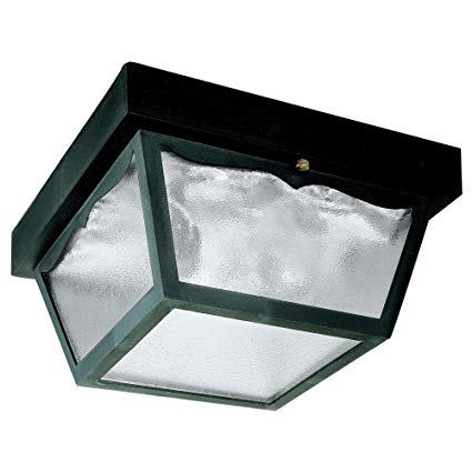 Westinghouse Lighting 6682300 2-Light Porch Clear Glass Panel
