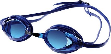 Speedo Vanquisher 1.0 Swim Goggle