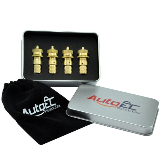 AutoEC Tire Deflator Kit Universal Adjustable Pack of 4
