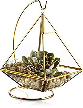 KooK Geometric Pyramid Hanging Terrarium with Stand - Gold