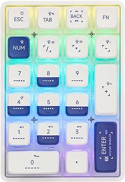 EPOMAKER x LEOBOG K21 21-Keys Wireless Numeric Keypad, 3 Modes(Bluetooth5.0/2.4Ghz/Type-C Wired) PC Transparent Numpad with Pudding Keycaps, Hot Swappable, RGB (Moss, Ice Crystal Switch)