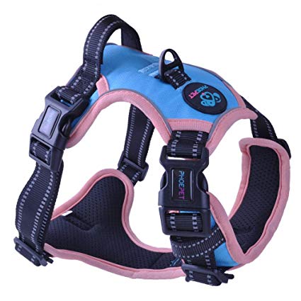 PHOEPET 2019 Upgraded No Pull Dog Harness, Unique Colors Reflective Adjustable Vest, with a Training Handle   2 Metal Leash Hooks  3 Snap Buckles  4 Slide Buckles [Easy to Put on & Take Off]