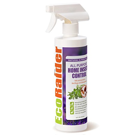 All Purpose Home Insect Control 16 OZ by EcoRaider