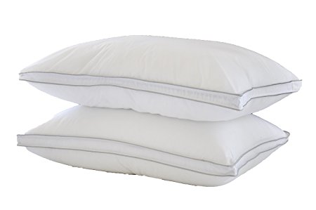 Natural Comfort ALLERGY SHIELDS Luxurious Down Alternative Pillows, 40 oz fill, Set of 2