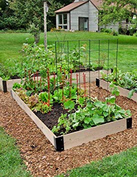 Premium Fir Raised Garden Bed 4 x 4 Vegetable Garden Bed Planter Box for Outdoor Gardening and Growing Vegetables, Herbs, Flowers.