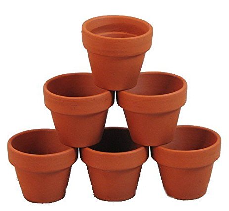 10 - 2.5" x 2.25" Clay Pots - Great for Plants and Crafts